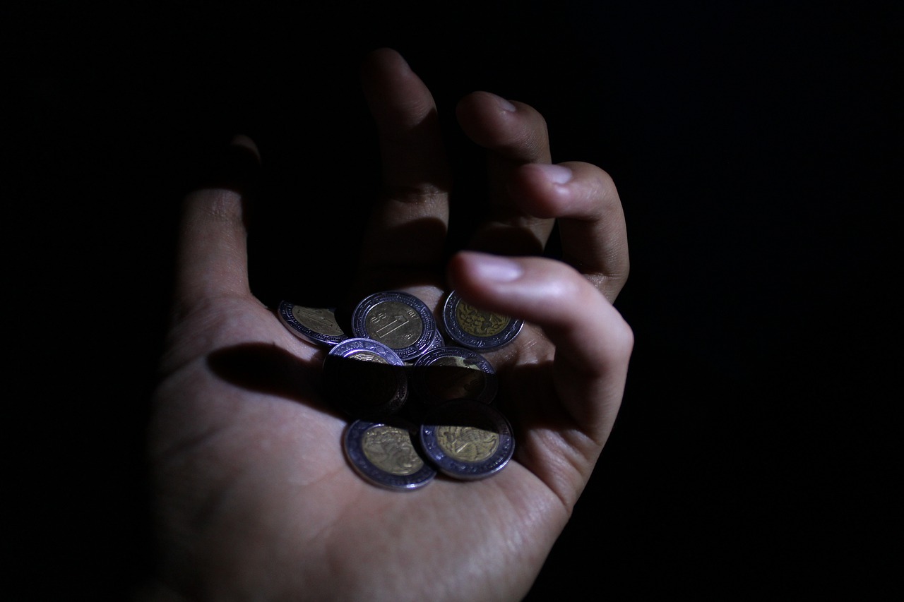 Coins Money Hand Cash Shadow Dark - BLASfemia_Bernal / Pixabay